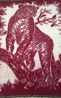 شستشوی پتو و رو فرشی