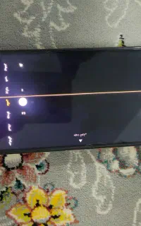 گوشی