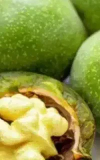 گردو تازه