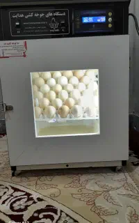 علوفه فروشی و دستگاه جوجه کشی