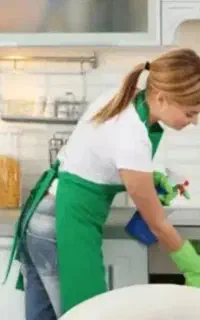 رسیدگی به امور منزل ساعتی