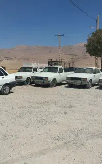 پژو ۹۱ دوگانه فابریک