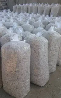 تفاله چغندر بسته بندی