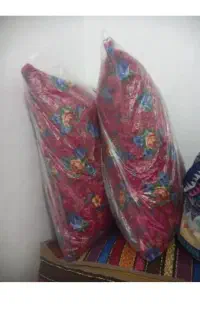 بالش دو عدد ۶۰۰
