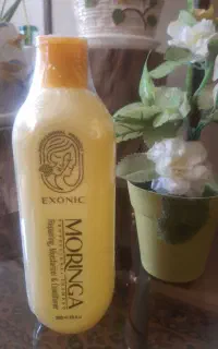 شامپوی مورینگا نمایندگی اصلی
