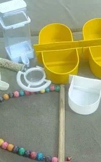 قفس