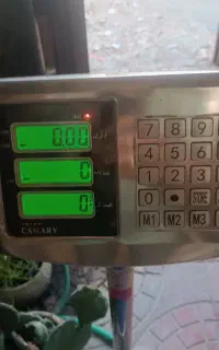 باسکول 200 کیلویی