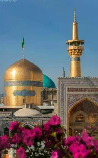 تور زیارتی مشهد مقدس هر روز