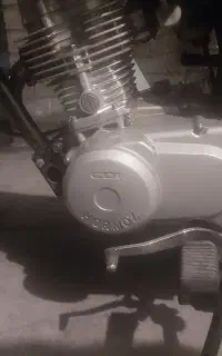 موتور هوندا ۱۲۵ در حد داخل عکس کاملا مشخص.