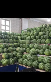 پالت میوه و سبزی و فرنگی فروشی