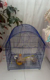 قفس طوطی