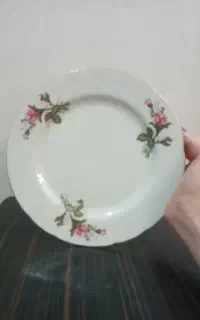 بشقاب چینی مناسب مجردی یا ویلا
