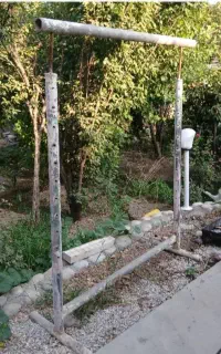 دار قالیچه