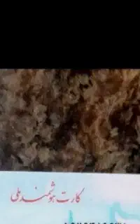 کارت ملی گمشده