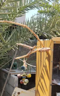قفس سه طبقه