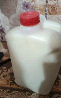دوغ محلی