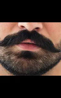 رویش تضمینی