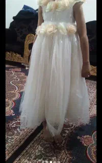 دون بچه گانه نو