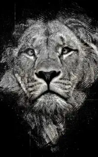 بلوبانک (دوس داشتنی)