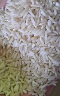 برنج محلی سالم کاظمی عطردار و به شرط پخت