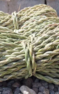 چیلک،طناب،ریسه