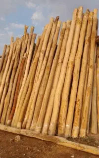 خرید انواع چوب