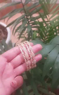بدلیجات