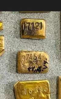 ۴۱۰ گرم طلا موجوده برای شراکت