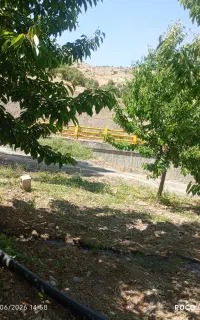 زمین کشاورزی