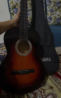 معاوضه گیتار با بچه گربه یا سگ