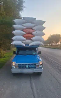 خرید کاه