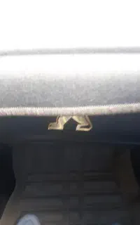 کارگرم ساختمانی هر‌کاری باشه  کنترات باغچه