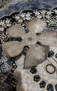فن ف
