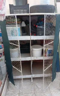 جفتگاه کبوتر