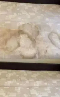 شستشوی مبل و خوشخواب درمنزل  درشهرضا و حومه