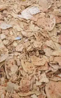 نان خشک