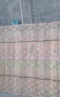چیت