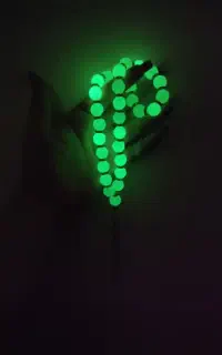 تسبیح شبتاب