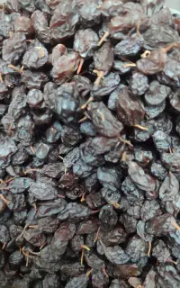 مویز ، گردو خشک ،‌ کشمش ، سیر درجه یک ،خرمای خشک