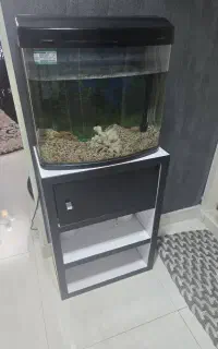 آکواریوم