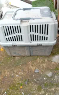 باکس بزرگ سگ یا گربه