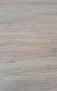 موکت