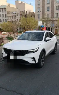 دیگنیتی پرستیژ سفید داخل مارون