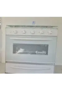 اجاق گاز مخصوص باغ وخانه