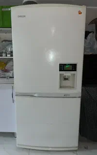 یخچال اسنوا در حدنو