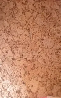 نان خشک تمیز
