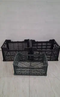 خریدار سبد میوه