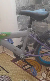 دوچرخه