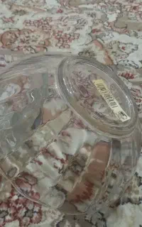 شش عدد کاسه نو
