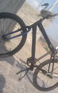 دوچرخه ۲۴